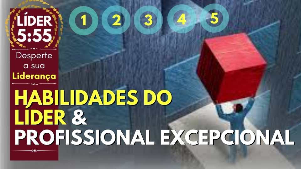 As Habilidades do Lider e Profissional Excepcional